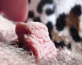 extreme close up clitoris